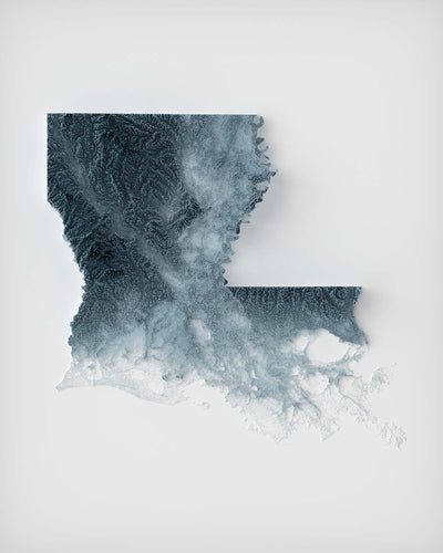 Topographische 3D-Reliefkarte von Louisiana 
