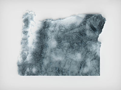 Carte topographique 3D en relief de l'Oregon 