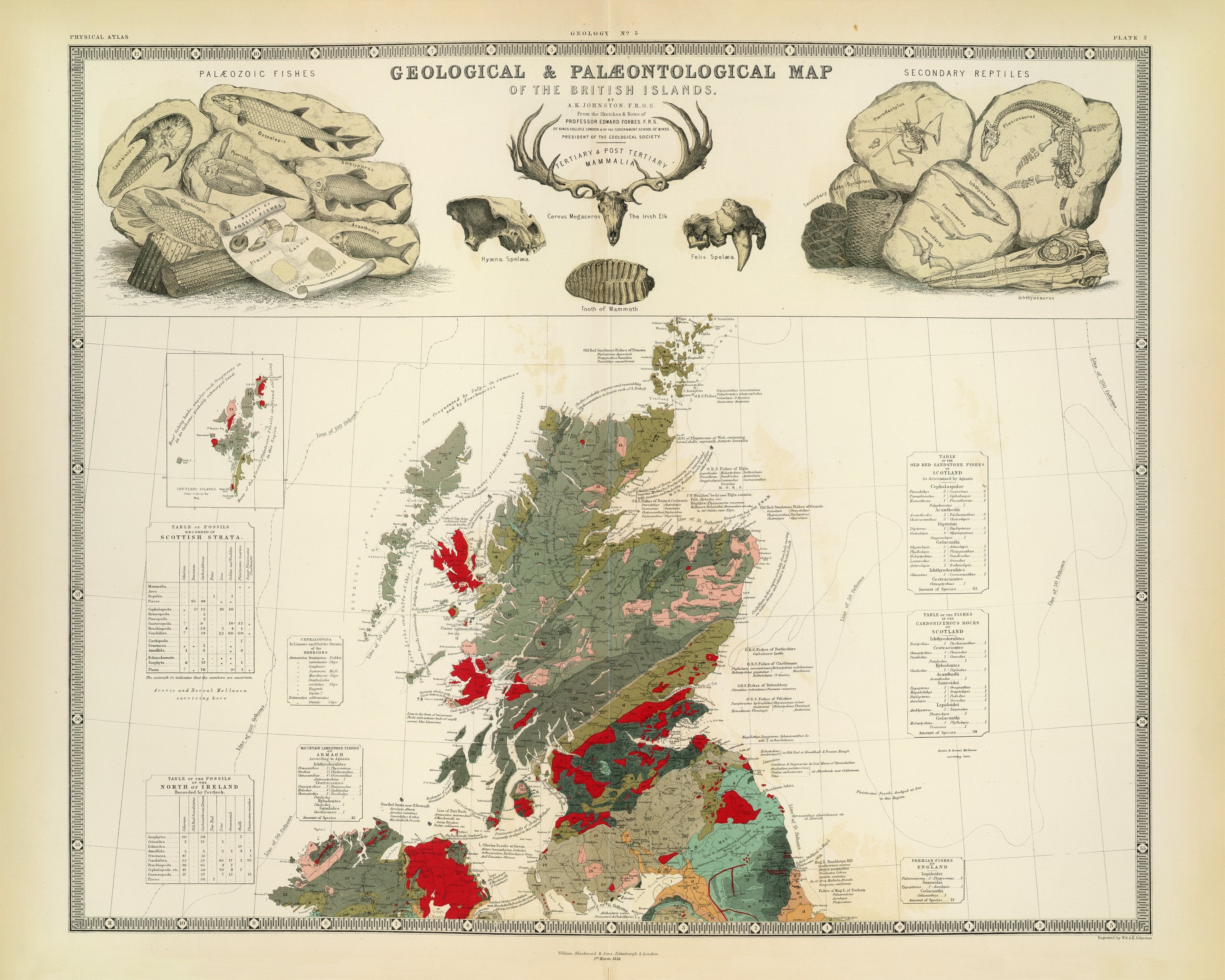 The Unique Maps Co As Seen On - Scotland Geological Map A.K. Johnston Edward Forbes 1854 16x20 B5a7663c Da79 4b46 8fcd D24fd82e274f