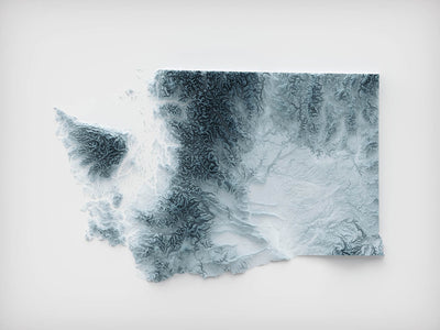 Washington State Topographic 3D Relief Map