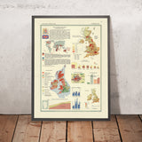 Antigua infografía del mapa de las Islas Británicas, 1967: Densidad de población, variación climática, estadísticas de empleo 