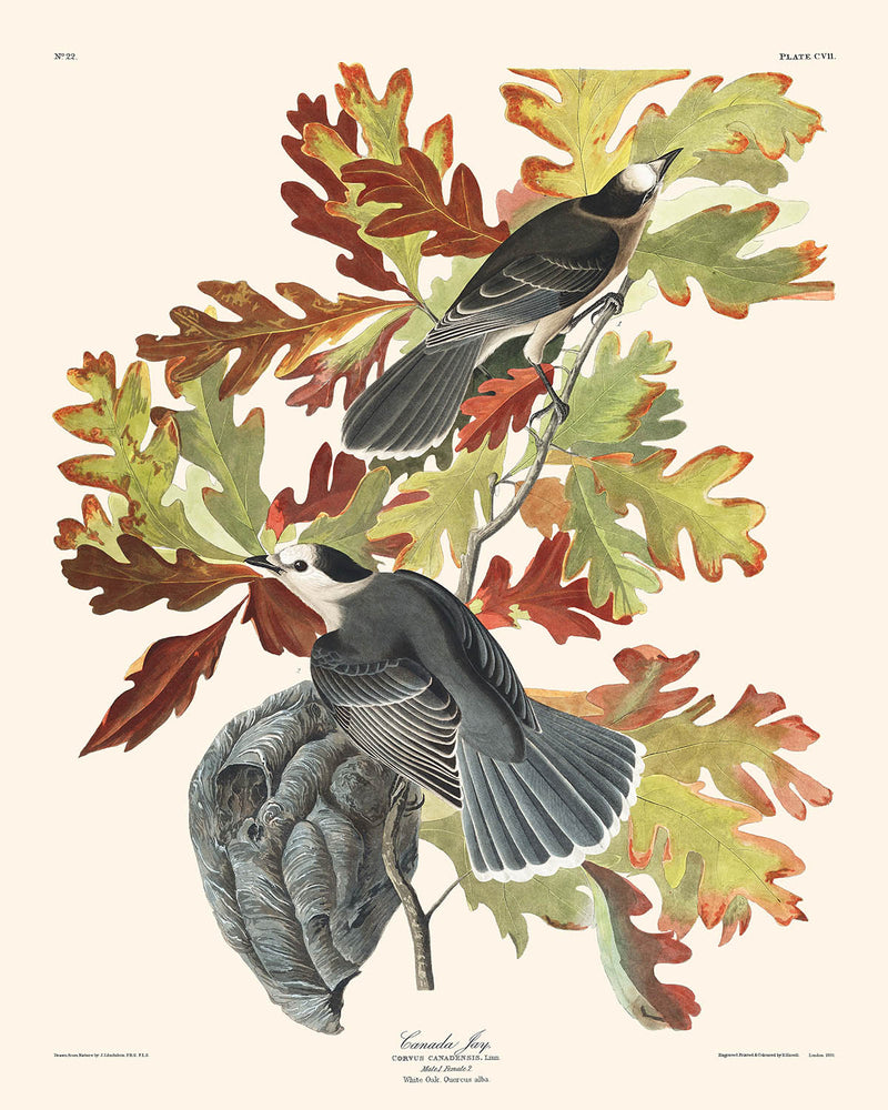 Visualiser thumbnail artwork