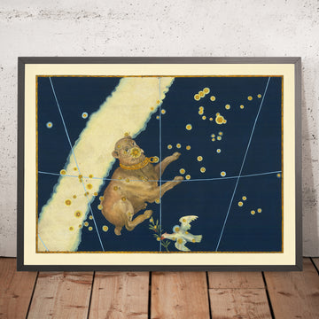 Old Star Map of Canis Major (Big Dog) by Johann Bayer, 1603 - Celestial Constellation Chart