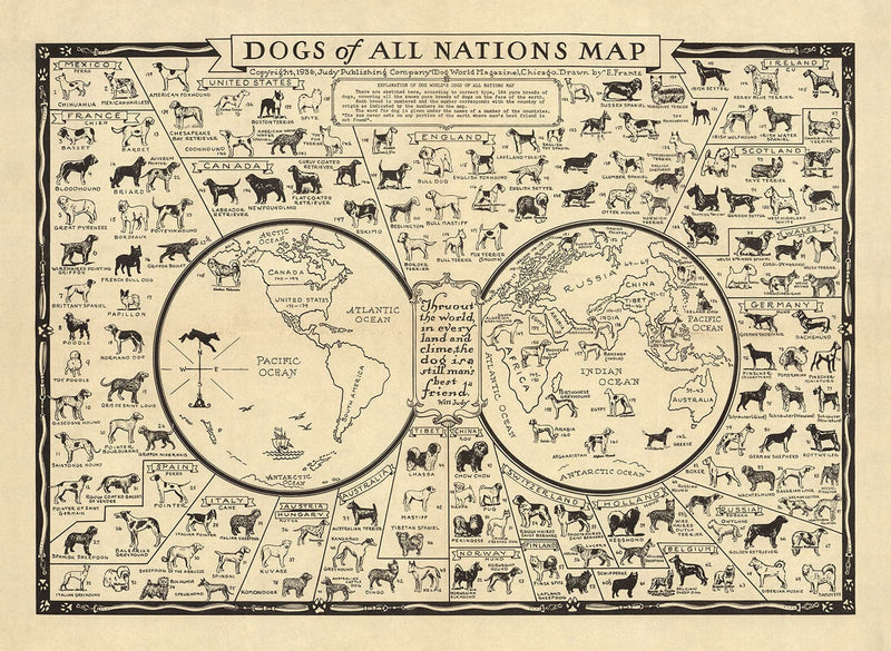 Visualiser thumbnail artwork