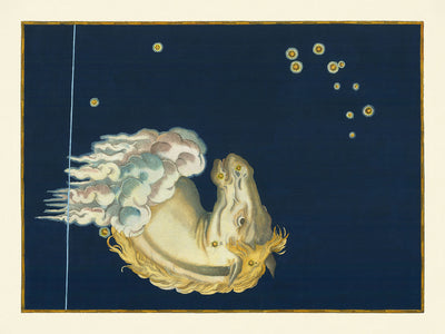 Alte Sternenkarte von Equuleus von Johann Bayer, 1603