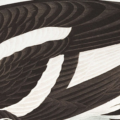 Golden-Eye Duck (Plate 403) by John James Audubon, 1827