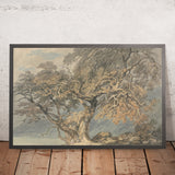 Ein großer Baum von Turner, 1796 