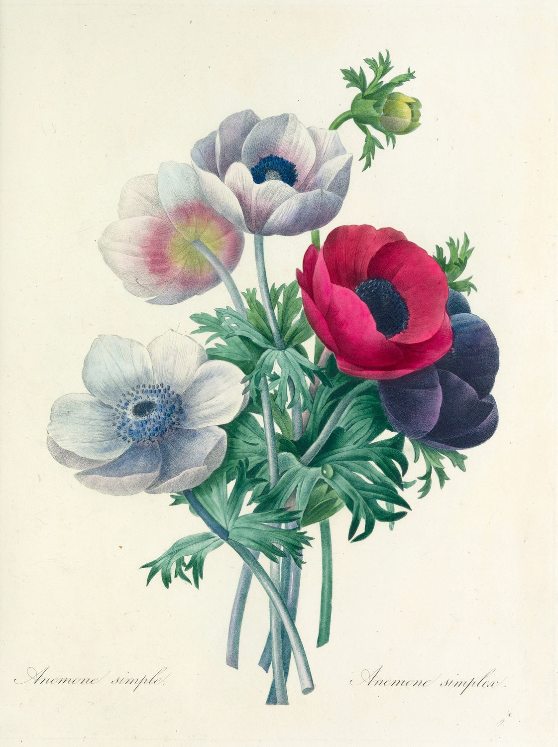 Artwork preview