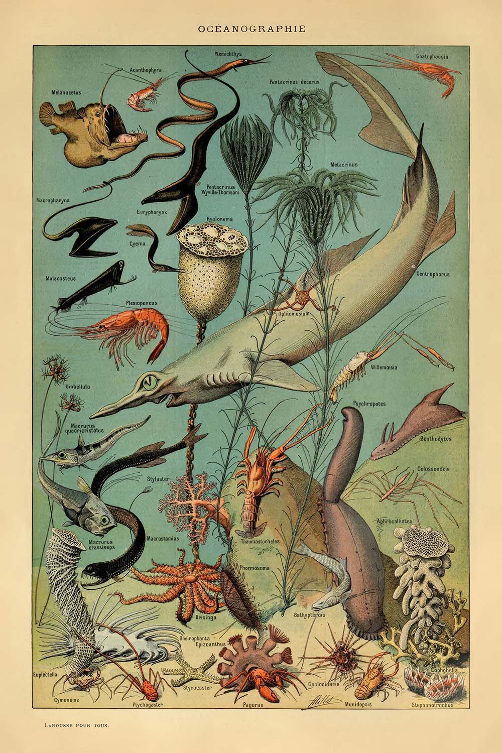 Oceanografia di Adolphe Millot 1890 