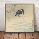 Kingfisher by Ohara Koson, 1920