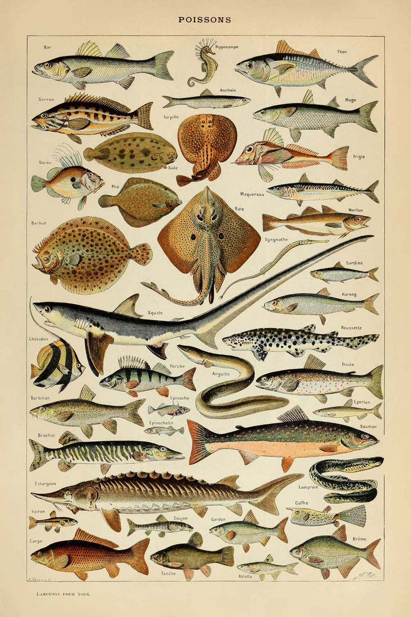 Visualiser thumbnail artwork