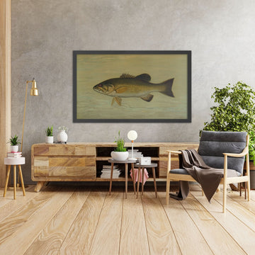 A framed image of 