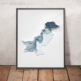 Mapa topográfico en relieve 3D de Pakistán 