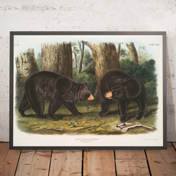 A framed image of 