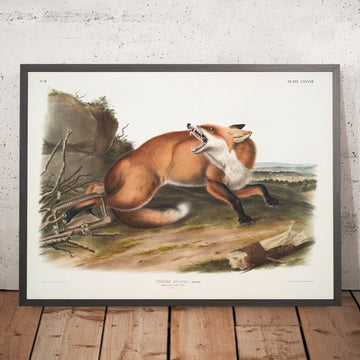 A framed image of 