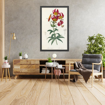 A framed image of Turk&