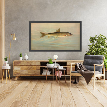 A framed image of 
