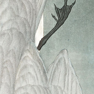 Marsh Tern by John James Audubon, 1827