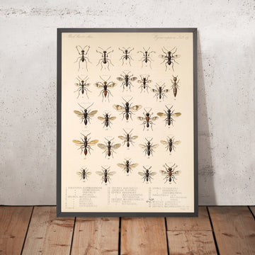 A framed image of 