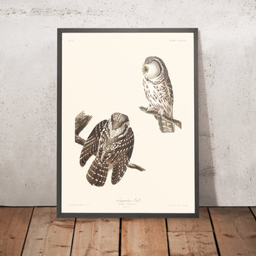 A framed image of Tengmalm&