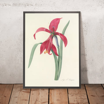 A framed image of St. James&