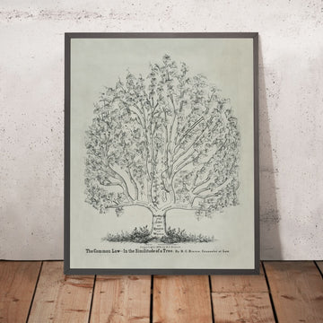Póster de despacho jurídico, 1878: Common Law as a Tree de RC Bierce 