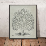 Manifesto dello Studio Legale, 1878: Common Law come un Albero di RC Bierce 