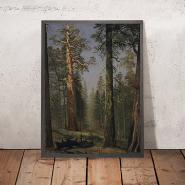 A framed image of 
