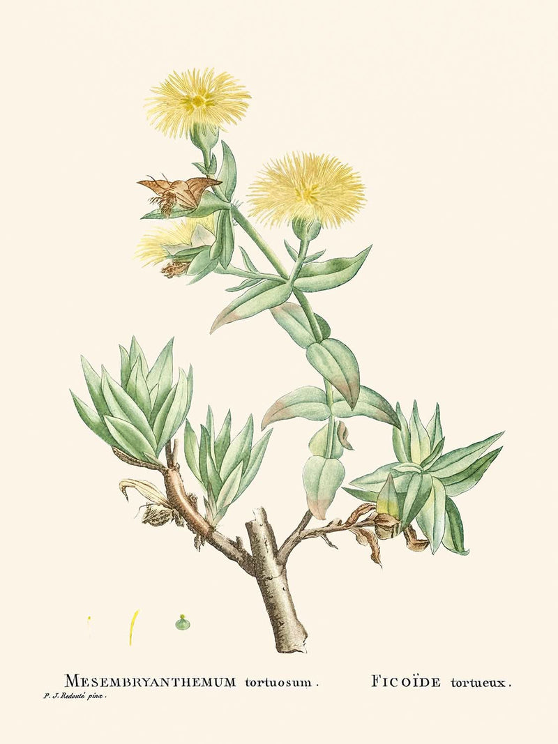 Visualiser thumbnail artwork