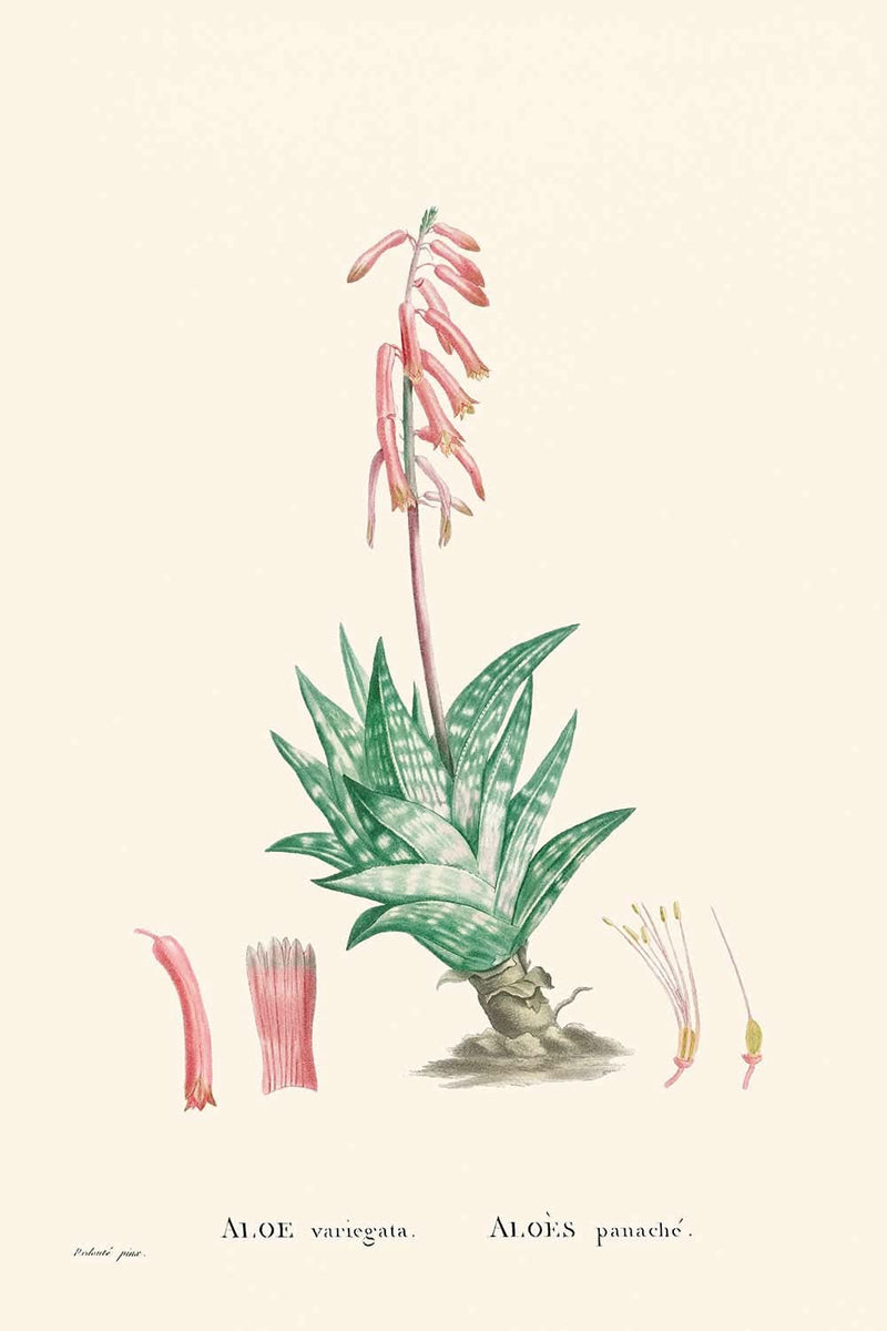 Visualiser thumbnail artwork