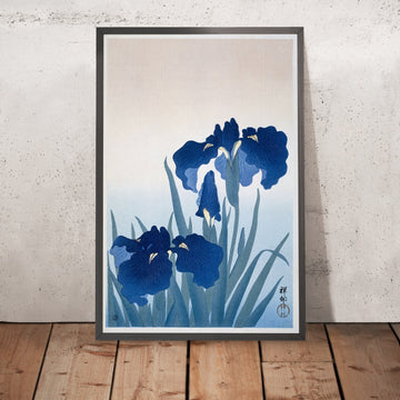 A framed image of 