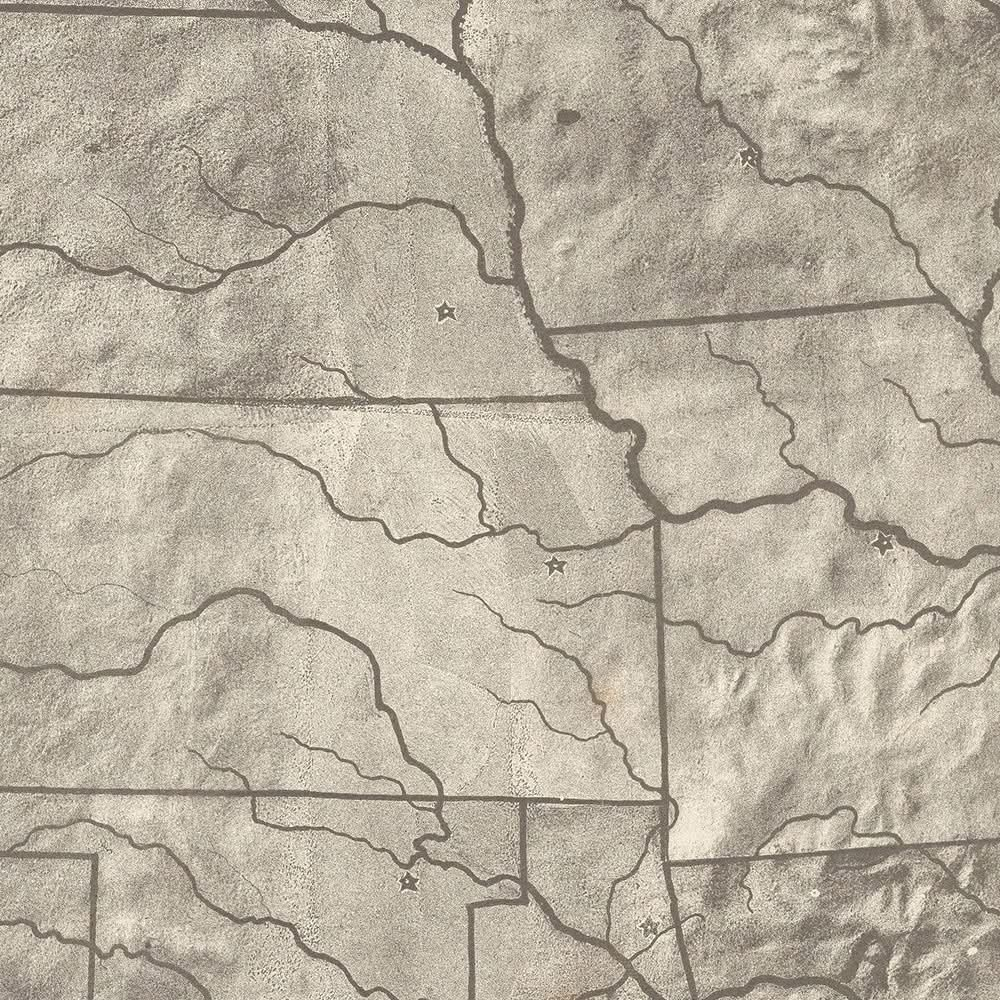 Topografía de los Estados Unidos de América de Levi Walter Yaggy, 1893