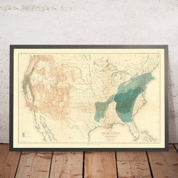 Mappa antica della distribuzione degli alberi di Castagno e Chinquapin negli Stati Uniti, 1884 