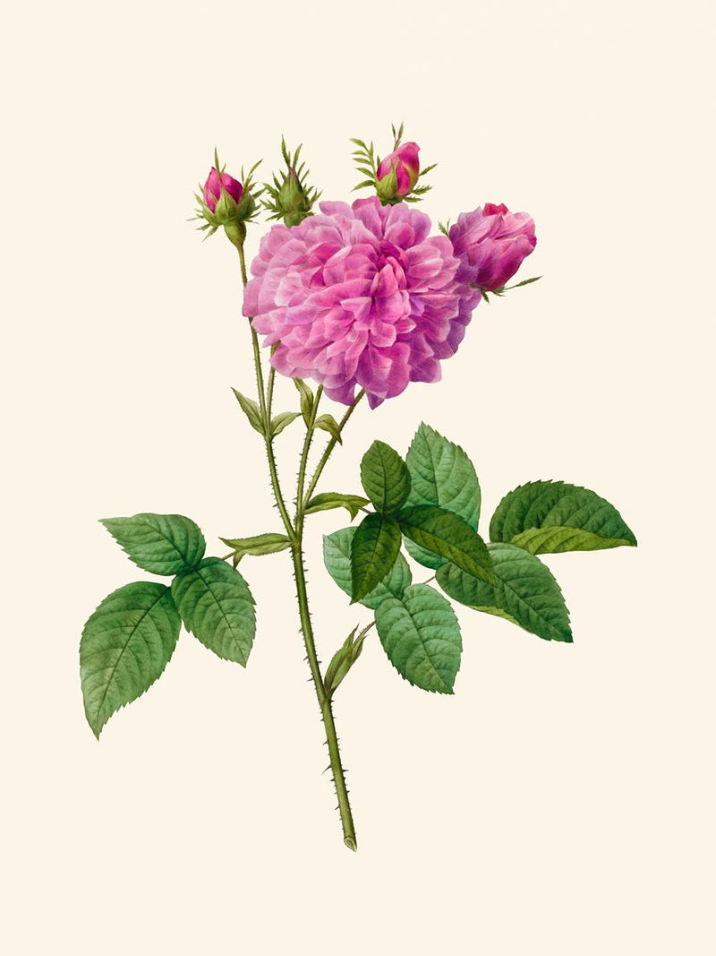 Visualiser thumbnail artwork