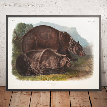 A framed image of 