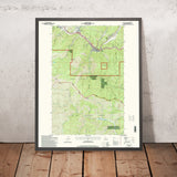 Map of Wallace, Idaho by USGS, 1995 – Coeur d’Alene National Forest & St. Joe National Forest