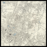 Personalised Old Map of Sydenham
