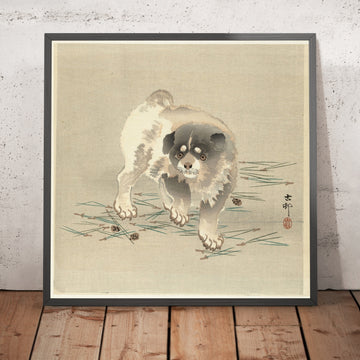 A framed image of 