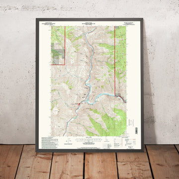 Map of Riggins, Idaho by USGS, 1995 – Salmon River & Nez Perce National Forest