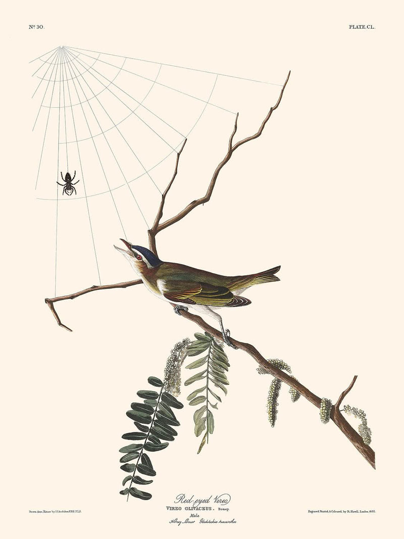 Visualiser thumbnail artwork