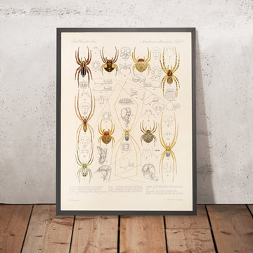 A framed image of 