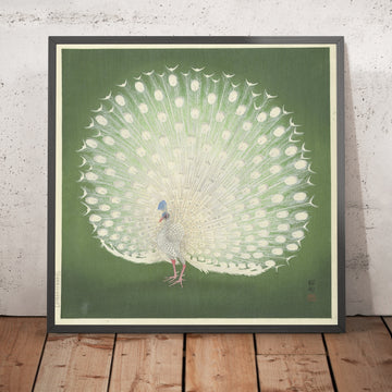 A framed image of 