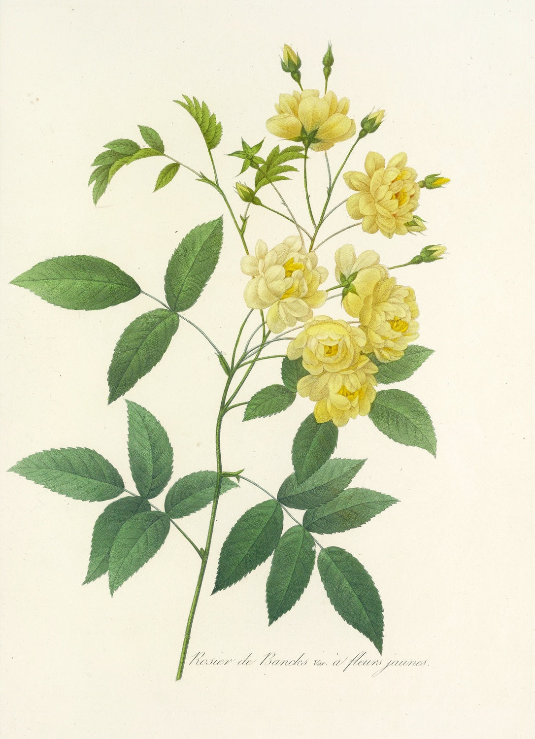 Artwork preview