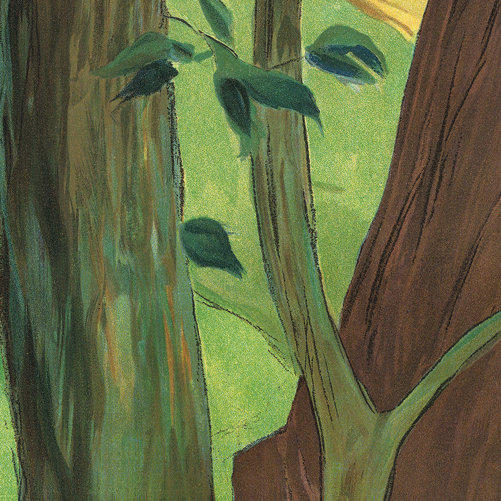 Appenzell Travel Poster by Auguste Viollier, 1904