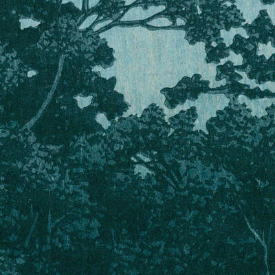 Sanpoji Pond in Shakujii by Hasui Kawase, 1935