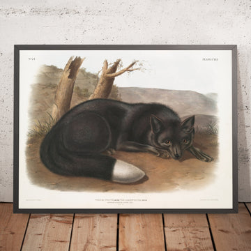 A framed image of 