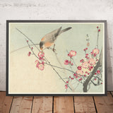 Songbird on Blossom Branch by Ohara Koson, 1900