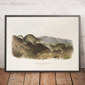 A framed image of 