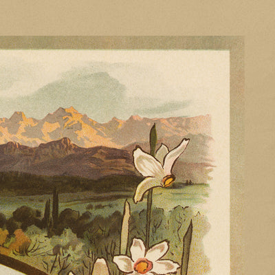 Bernese Oberland Electric Railway Travel Poster by Anton Reckziegel, 1904