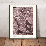 Old Map of Bay Harbor, Michigan by USGS, 1975 – Petoskey, Walloon Lake & Little Traverse Bay